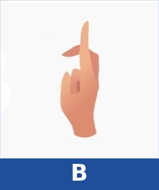 B