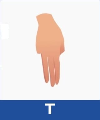 T