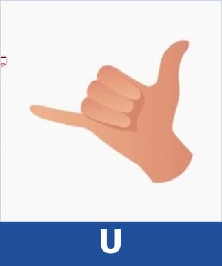 U