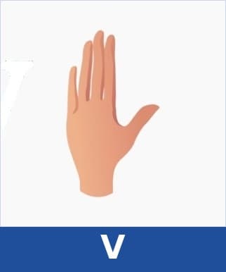 V