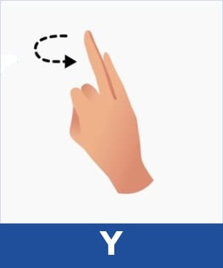 Y
